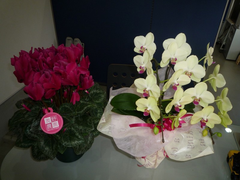 f:id:chikujo-k:20151204153500j:image:w440
