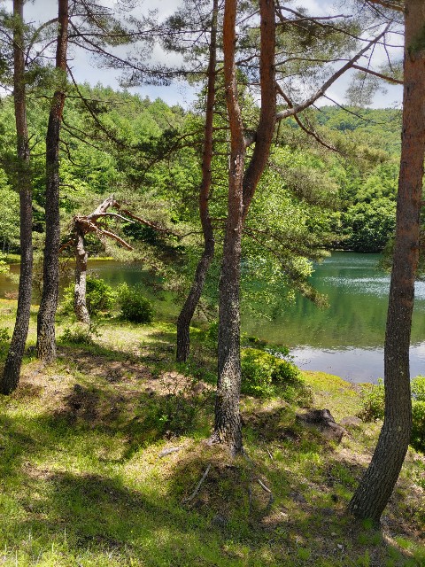 f:id:chikumanoyamanba2:20220629213249j:image