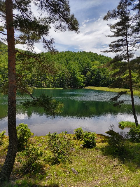 f:id:chikumanoyamanba2:20220629213302j:image