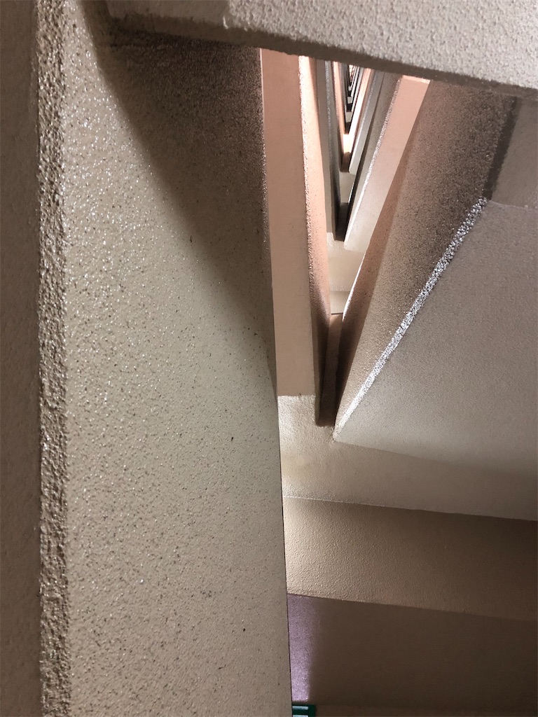 f:id:chikusan_rhot:20210528200719j:image