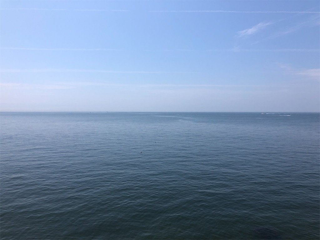 f:id:chikusan_rhot:20210901152950j:image