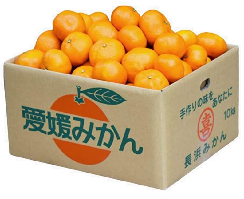 f:id:chikuwamonaka:20200317062557j:plain f:id:chikuwamonaka:20200317062557j:plain