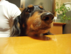 20110606205607