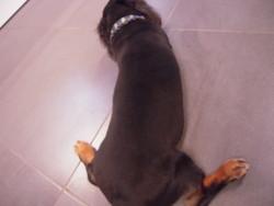 20110610175152