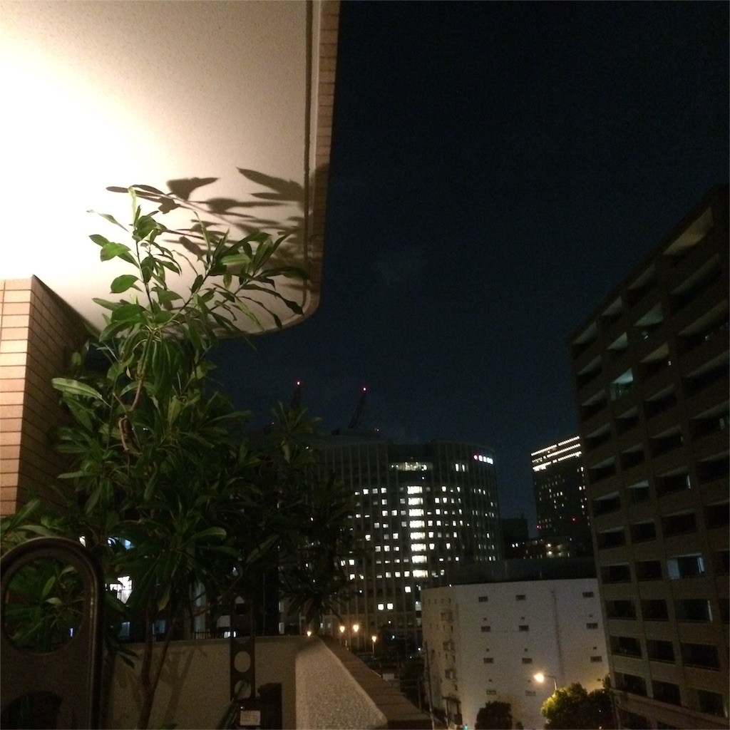f:id:chikuwansai:20160807090147j:image