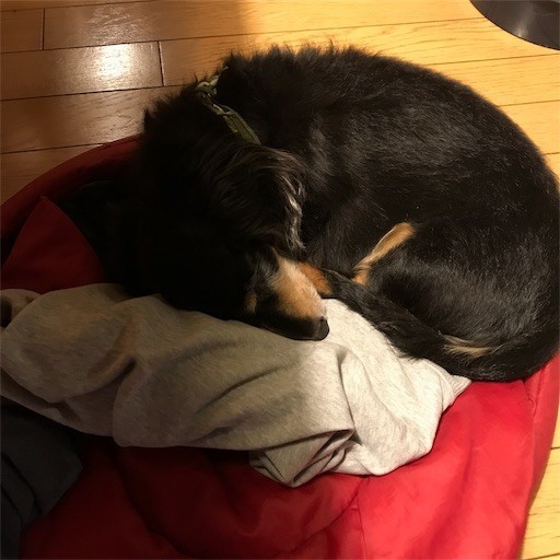 f:id:chikuwansai:20181211124425j:image