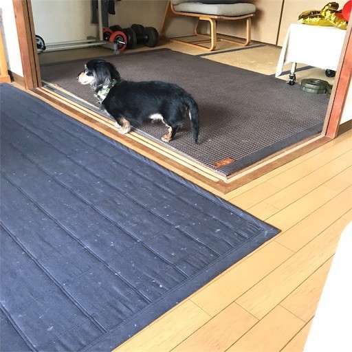 f:id:chikuwansai:20181211124543j:image