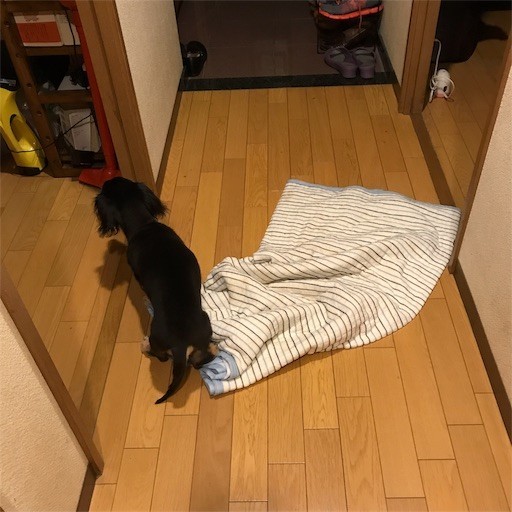 f:id:chikuwansai:20190901112903j:image