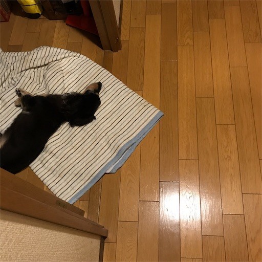 f:id:chikuwansai:20190901112941j:image