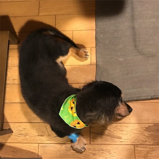 f:id:chikuwansai:20191005115658j:image