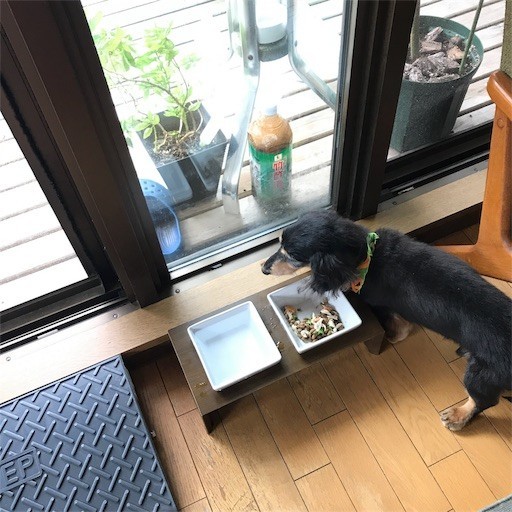 f:id:chikuwansai:20191005120106j:image