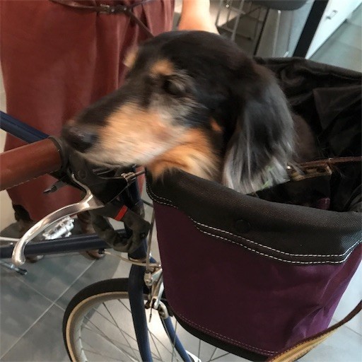 f:id:chikuwansai:20191110100817j:image