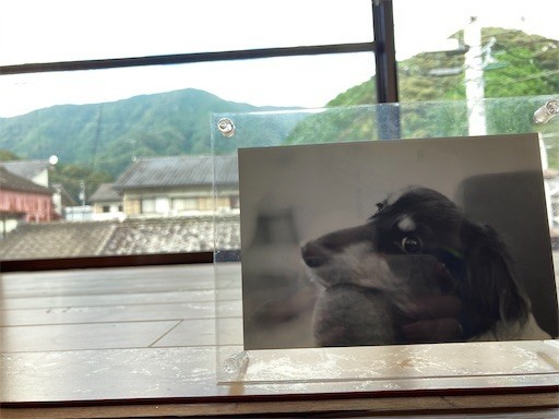 f:id:chikuwansai:20210822095811j:image
