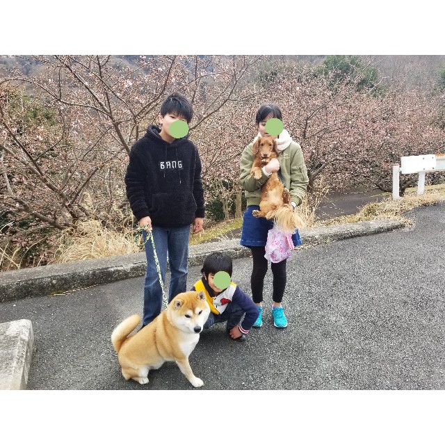f:id:chikuwanwan1106:20190213013049j:image