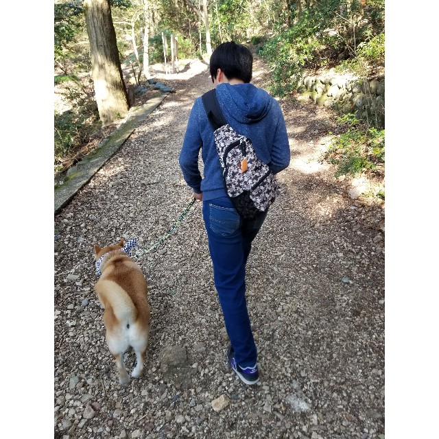 f:id:chikuwanwan1106:20190311231737j:image