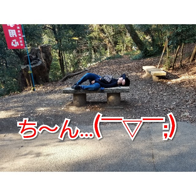 f:id:chikuwanwan1106:20190311231846j:image