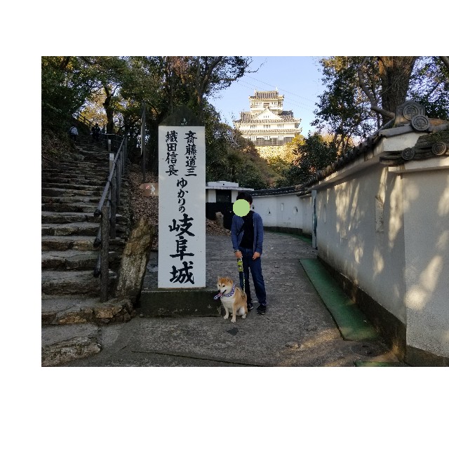 f:id:chikuwanwan1106:20190311232255j:image