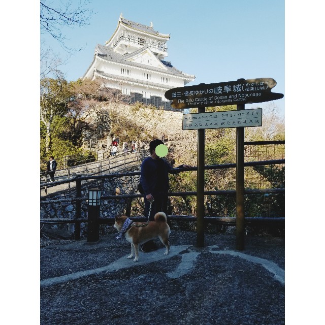 f:id:chikuwanwan1106:20190311232400j:image