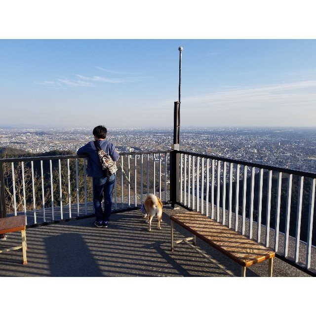 f:id:chikuwanwan1106:20190311232728j:image