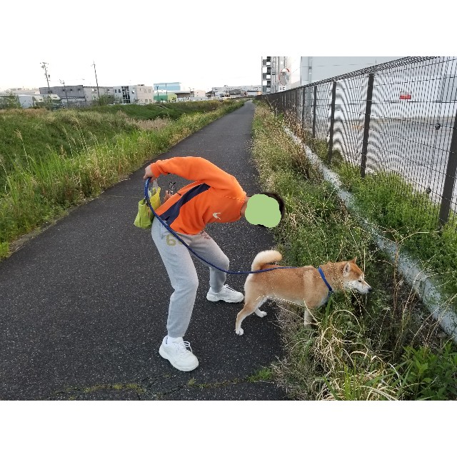 f:id:chikuwanwan1106:20190425204059j:image f:id:chikuwanwan1106:20190425204059j:image