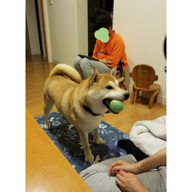 f:id:chikuwanwan1106:20190425215613j:image f:id:chikuwanwan1106:20190425215613j:image