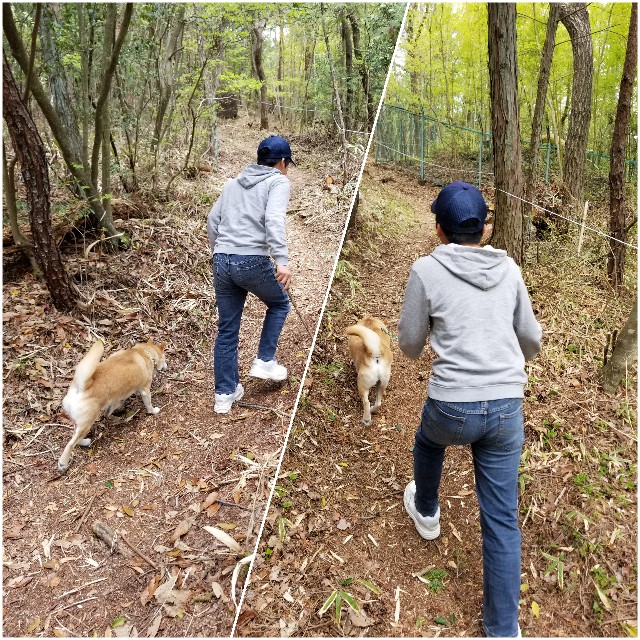 f:id:chikuwanwan1106:20190429182143j:image f:id:chikuwanwan1106:20190429182143j:image