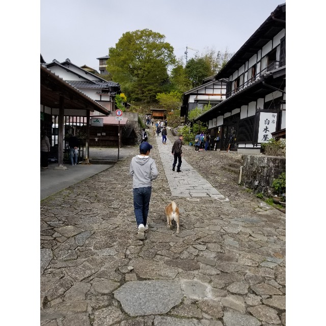 f:id:chikuwanwan1106:20190429200039j:image f:id:chikuwanwan1106:20190429200039j:image