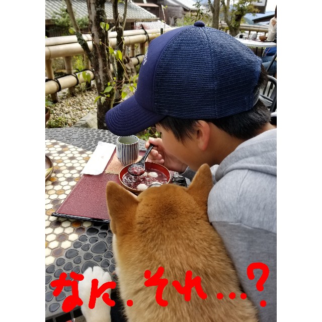 f:id:chikuwanwan1106:20190429200645j:image f:id:chikuwanwan1106:20190429200645j:image