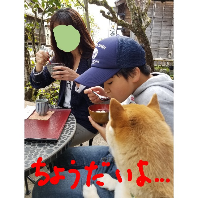 f:id:chikuwanwan1106:20190429202004j:image f:id:chikuwanwan1106:20190429202004j:image