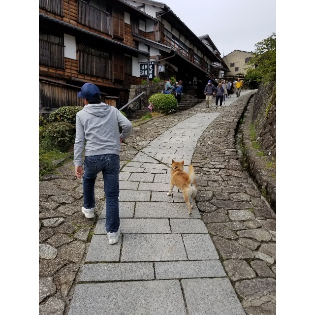f:id:chikuwanwan1106:20190430005702j:image f:id:chikuwanwan1106:20190430005702j:image
