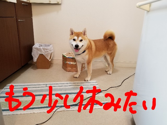 f:id:chikuwanwan1106:20190925003608j:image