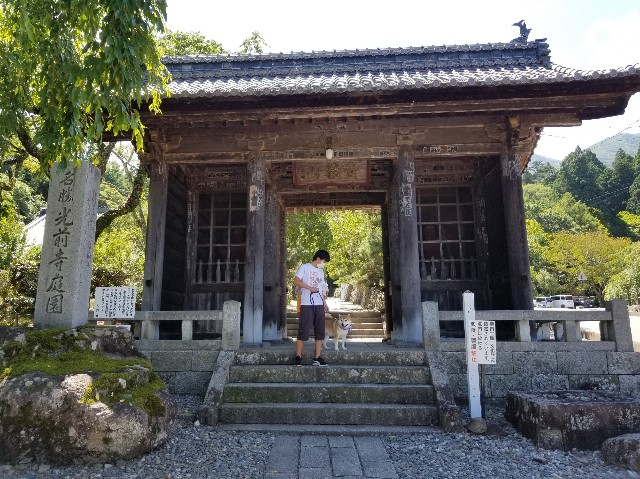 f:id:chikuwanwan1106:20200823132200j:image
