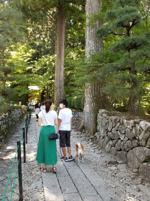f:id:chikuwanwan1106:20200823132340j:image