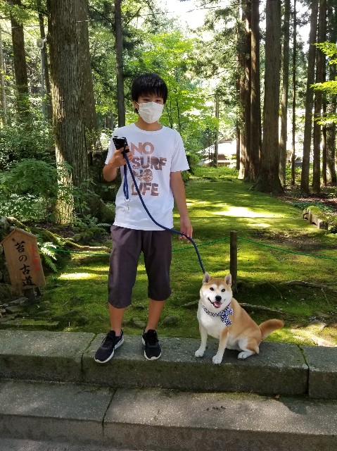 f:id:chikuwanwan1106:20200823132448j:image