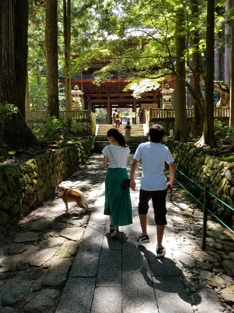 f:id:chikuwanwan1106:20200823133250j:image