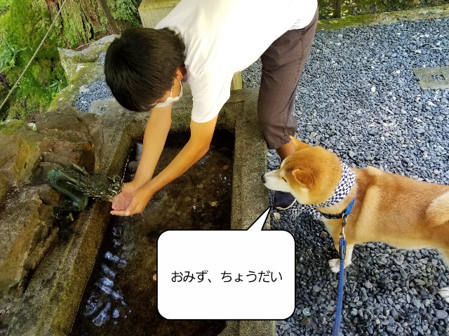f:id:chikuwanwan1106:20200823133750j:image