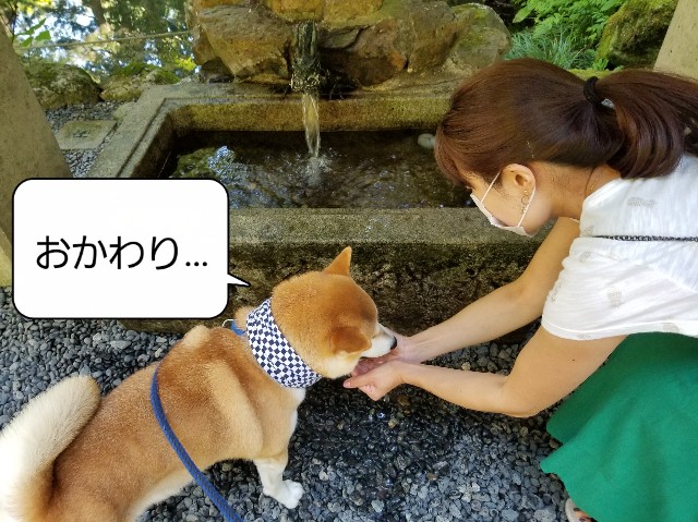 f:id:chikuwanwan1106:20200823134258j:image