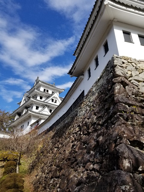 f:id:chikuwanwan1106:20201221000720j:image
