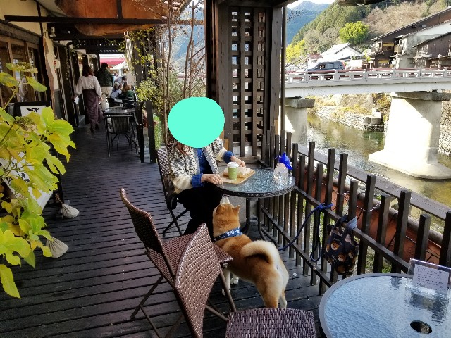 f:id:chikuwanwan1106:20201221100740j:image