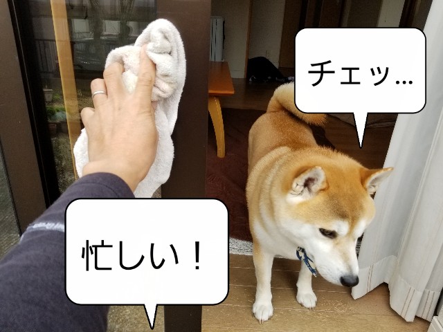 f:id:chikuwanwan1106:20201231124148j:image f:id:chikuwanwan1106:20201231124148j:image