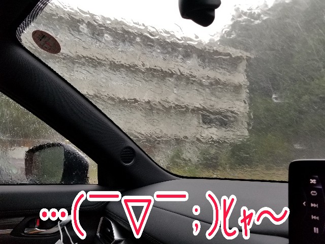 f:id:chikuwanwan1106:20210822150532j:image