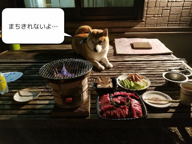 f:id:chikuwanwan1106:20211208224341j:image f:id:chikuwanwan1106:20211208224341j:image