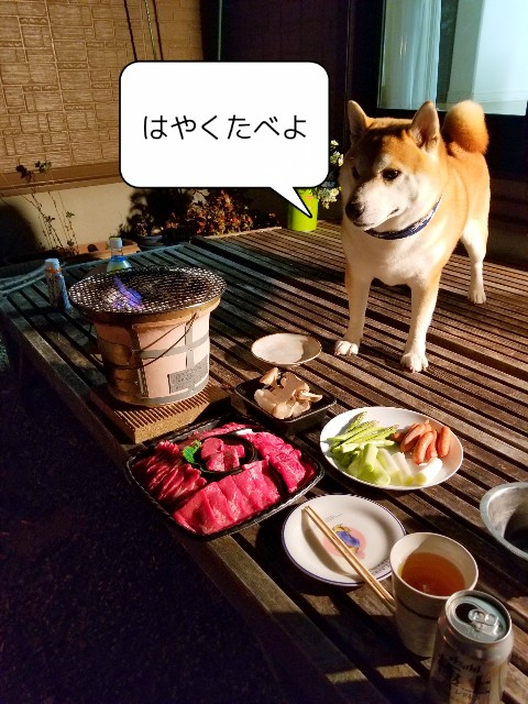 f:id:chikuwanwan1106:20211208224441j:image f:id:chikuwanwan1106:20211208224441j:image