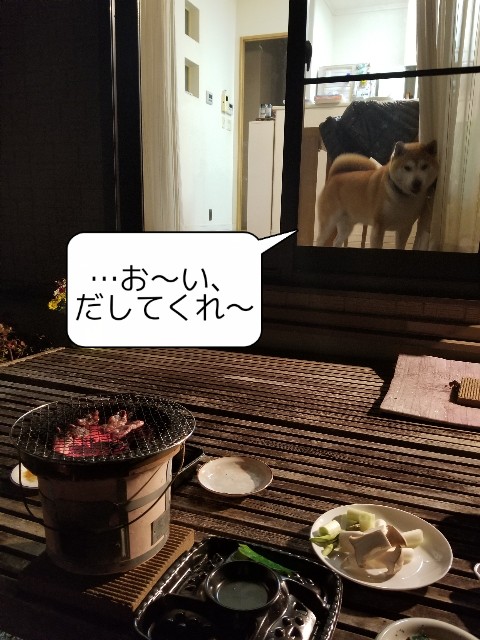 f:id:chikuwanwan1106:20211208224648j:image f:id:chikuwanwan1106:20211208224648j:image