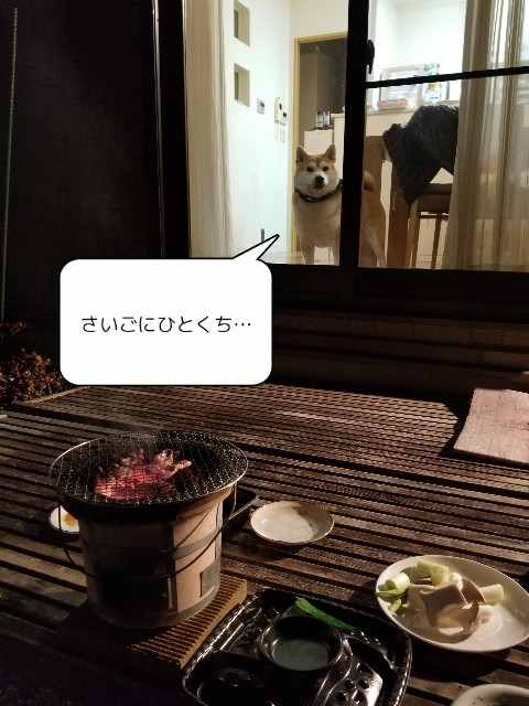 f:id:chikuwanwan1106:20211208225448j:image f:id:chikuwanwan1106:20211208225448j:image
