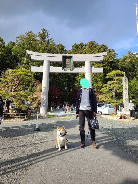 f:id:chikuwanwan1106:20220104083655j:image