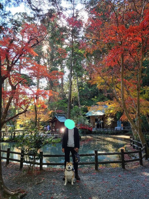 f:id:chikuwanwan1106:20220104084108j:image