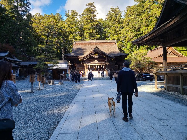 f:id:chikuwanwan1106:20220105194610j:image