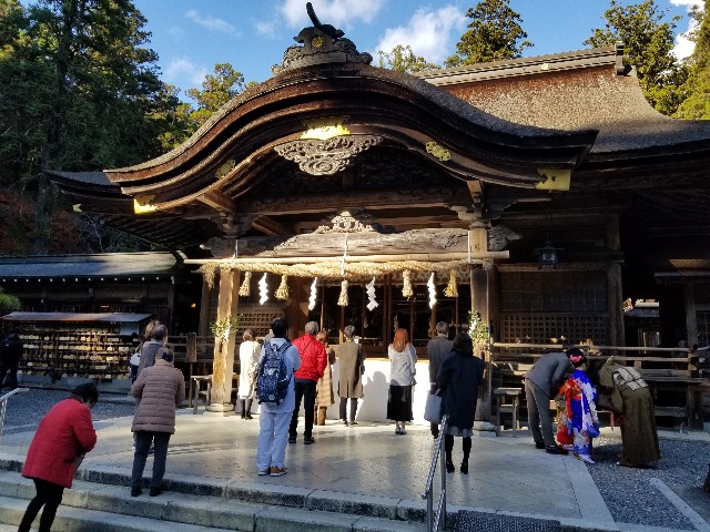 f:id:chikuwanwan1106:20220105194747j:image