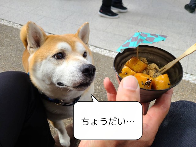 f:id:chikuwanwan1106:20220105210439j:image